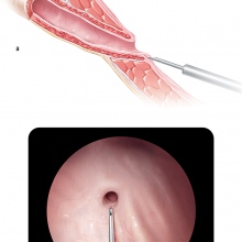 Doç. Dr. Tunç Özdemir fotoğraf 7
