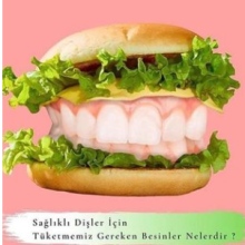 Dt. Gülay İlhan Aydoğan fotoğraf 2