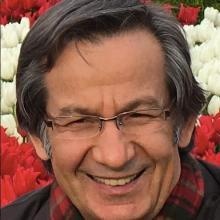 Prof. Dr. Mesut Çetin
