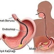 Doç. Dr. Mehmet Çelikbilek fotoğraf 4