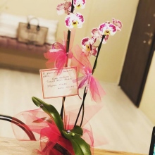 Dyt. Büşra Özbek fotoğraf 8
