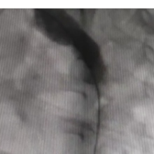 Prof. Dr. Vedide Tavlı fotoğraf 2