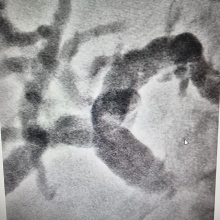 Uzm. Dr. Ümit İpeksoy fotoğraf 2