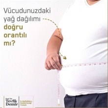 Prof. Dr. Tevfik Demir fotoğraf 8