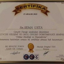 Psk. Dan. Sema Usta Taşkın fotoğraf 8