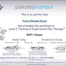 Uzm. Psk. Dan. Tansu Okudan Soyal fotoğraf 4