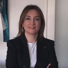 Prof. Dr. Berfu Demir