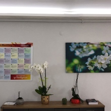 Dr. Mesut Ersoy fotoğraf 2
