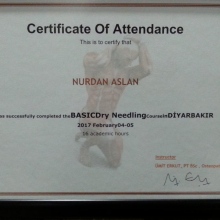 Fzt. Nurdan Aslan Aybar fotoğraf 8