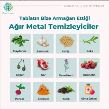 Uzm. Dr. Ülviye Güvendi fotoğraf 3