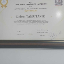 Didem Tanrıtanır fotoğraf 4