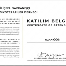 Uzm. Dr. Ozan Öğüt fotoğraf 4