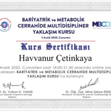 Dyt. Havvanur Çetinkaya fotoğraf 4