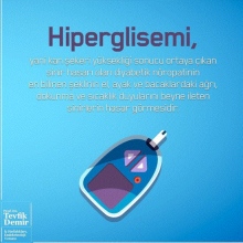 Prof. Dr. Tevfik Demir fotoğraf 5