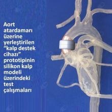 Prof. Dr. Bülent Oran fotoğraf 3