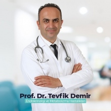 Prof. Dr. Tevfik Demir