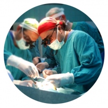 Prof. Dr. Murat Alkan fotoğraf 6