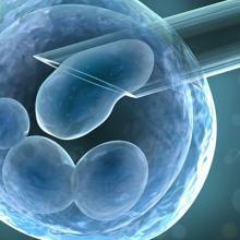 Op. Dr. Necati Özçimen fotoğraf 3