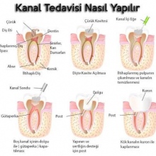 Dr. Dt. Faruk Er fotoğraf 2