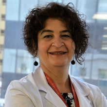 Prof. Dr. Dilek Necioğlu Örken