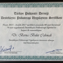 Uzm. Dr. Berna Bulut Çakmak fotoğraf 3