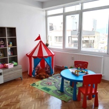 Prof. Dr. Afig Berdeli fotoğraf 2