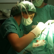 Op. Dr. Vefa Sadıgova fotoğraf 1