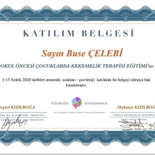 Dkt. Buse Çelebi fotoğraf 2