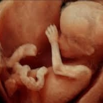 Op. Dr. Vural Başkaya fotoğraf 4