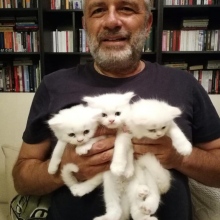 Dr. Mutlu Gürsoy fotoğraf 3