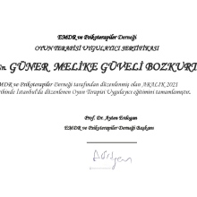 Uzm. Dr. Melike Güveli Bozkurt fotoğraf 4