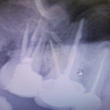 Dr. Dt. Faruk Er fotoğraf 1