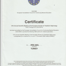 Prof. Dr. İpek Özunan (Akil) fotoğraf 6