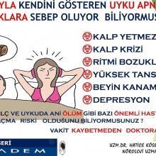 Doç. Dr. Hatice Köse Özlece fotoğraf 4