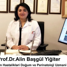 Prof. Dr. Alin Başgül Yiğiter
