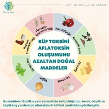 Uzm. Dr. Ülviye Güvendi fotoğraf 1