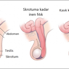Doç. Dr. Tunç Özdemir fotoğraf 2