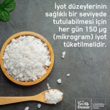 Prof. Dr. Tevfik Demir fotoğraf 6