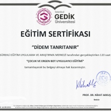 Didem Tanrıtanır fotoğraf 2