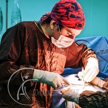 Op. Dr. Atakan Telatar fotoğraf 2