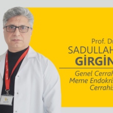 Prof. Dr. Sadullah Girgin fotoğraf 1