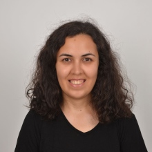 Psk. Fatma Çapar