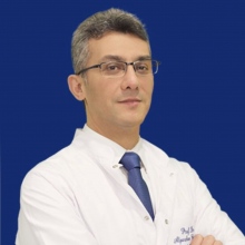 Prof. Dr. Alparslan Birdane