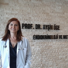 Prof. Dr. Ayşe Ayşin Öge