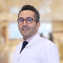 Dr. Öğr. Üyesi Mithat Terzi