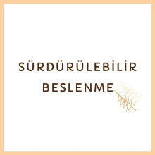 Dyt. Elçin Pelin Yılmaz fotoğraf 2
