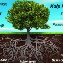 Uzm. Dr. Mehmet Camcı fotoğraf 5