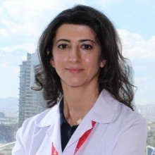 Prof. Dr. Ebru Akgül Ercan