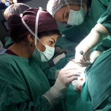 Op. Dr. Vefa Sadıgova fotoğraf 8