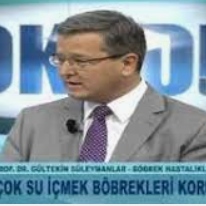 Prof. Dr. Gültekin Süleymanlar fotoğraf 6